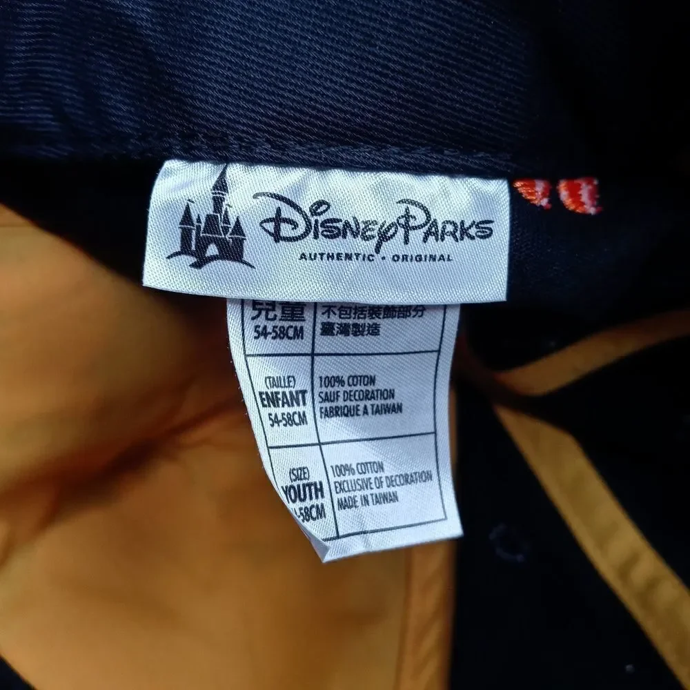Disney Park Lion King baseball cap youth size
